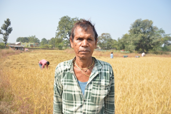 समर्थन मूल्य 3100 रुपये प्रति क्विंटल से बढ़ा किसानों का उत्साह समर्थन मूल्य 3100 रुपये प्रति क्विंटल से बढ़ा किसानों का उत्साह