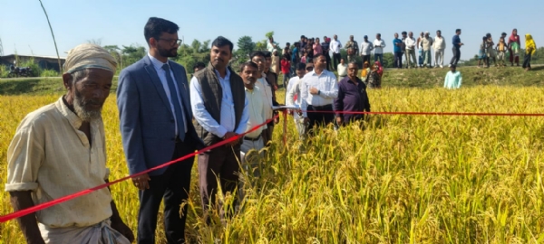 अररिया फोटो:डीएम अगहनी धन फसल कटनी का निरीक्षण करते अररिया फोटो:डीएम अगहनी धन फसल कटनी का निरीक्षण करते