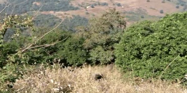 महाराष्ट्र के रायगढ़ में खाई में गिरी जीप, छह लोगों की मौत