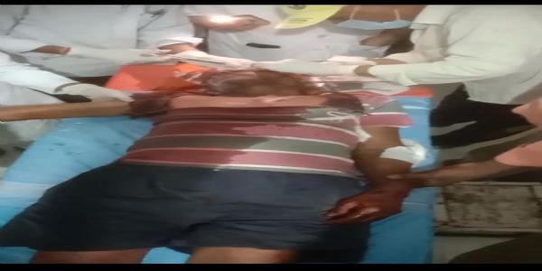 सिवनीः जंगल में मवेशी चराते समय बाघ का हमला, ग्रामीण गंभीर रूप से घायल