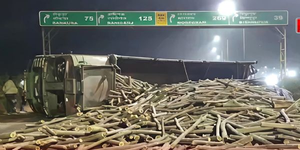 रात के अंधेरे में लकड़ी ले जाते समय हादसा, पड़ताल में जुटी पुलिस