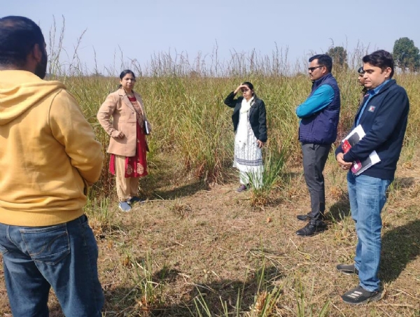 लेमनग्रास के खेम में सीईओ