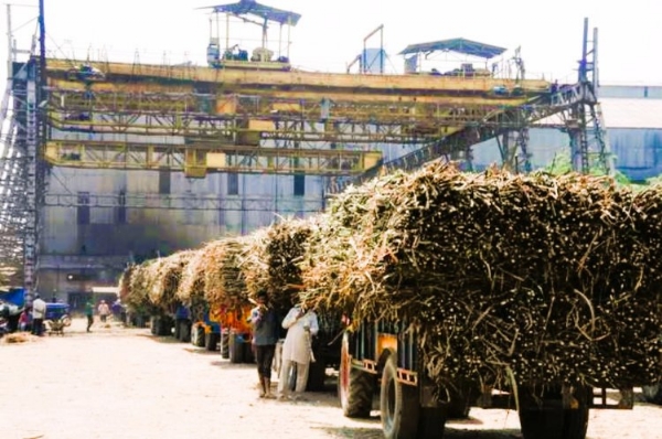 मुरादाबाद जनपद की दो और बिजनौर की एक चीनी मिल 10 नवंबर तक शुरू हो जाएंगी मुरादाबाद जनपद की दो और बिजनौर की एक चीनी मिल 10 नवंबर तक शुरू हो जाएंगी