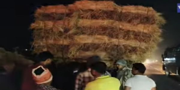 घास से लदी गाड़ी से टकराई बाइक, बिजली विभाग का कर्मचारी गंभीर