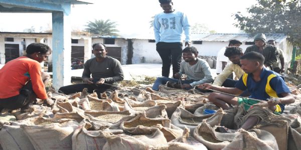 बलरामपुर जिले में अब तक 9371.60 क्विंटल धान की खरीद