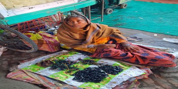 सोनपुर मेला के मिट्टी की सीटी और घिरनी में गूंजती परंपरा की धुन