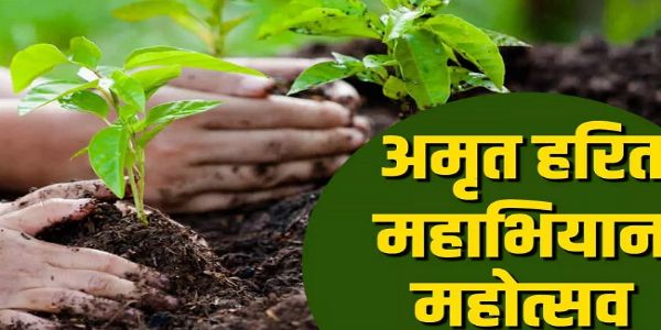 मप्रः अमृत हरित महाअभियान के लिये संभागवार बैठकें, स्थानीय नर्सरियों को सुदृढ़ करने के निर्देश