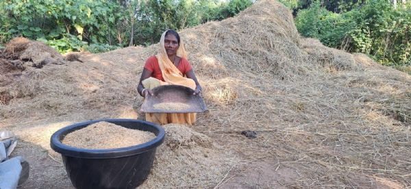कठिन परिस्थितियों के बावजूद उम्मीद और परिश्रम की राह से अलग नहीं होने देती छत्तीसगढ़ सरकार की योजनाएं