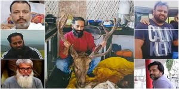 काले हिरण के शिकार मामले में शाजापुर से पांचवां आरोपित गिरफ्तार