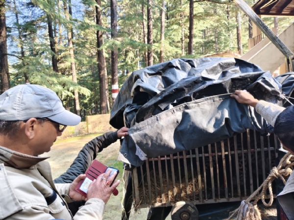 पिंजरे में कैद गुलदार पिंजरे में कैद गुलदार