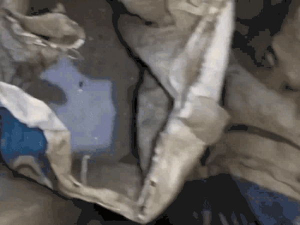 एक कट्टे में दानेदार व्हाइट पावडर, दूसरी पॉलिथीन में बारीक वाइट पाउडर तीसरे प्लास्टिक के कट्टे में दानेदार ब्लैक पाउडर टाइप का कुछ संदिग्ध पदार्थ मिला,