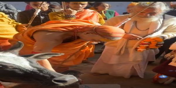 गौहत्या रोकने का लें संकल्प: अविमुक्तेश्वरानंद सरस्वती