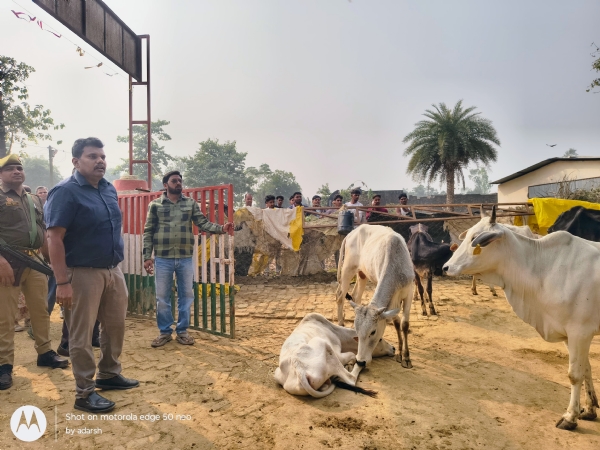 गौशाला में निरीक्षण करते हुए जिलाधिकारी