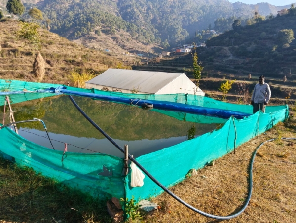 केवर्ष गांव में यशवंत कुमार द्वारा बनाया गया मछली का तालाब