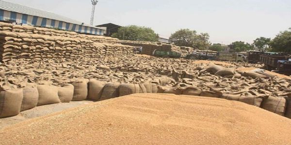 गेहूं परिवहन में लेटलतीफी पर बड़ी कार्रवाई, 10 लाख 52 हजार का लगाया जुर्माना