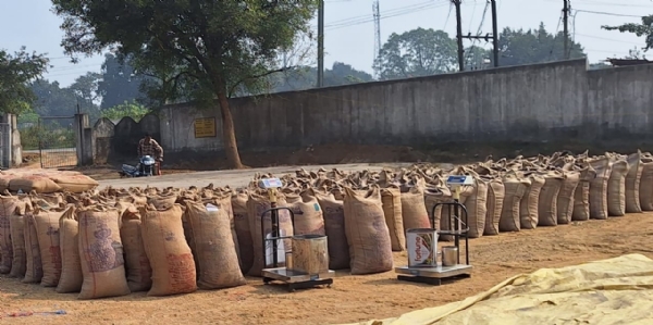 धान खरीदी करते हुए धान खरीदी करते हुए