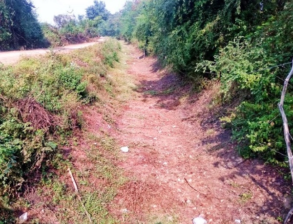 दतिया: नहर में पानी नहीं छोड़े जाने से किसान परेशान दतिया: नहर में पानी नहीं छोड़े जाने से किसान परेशान