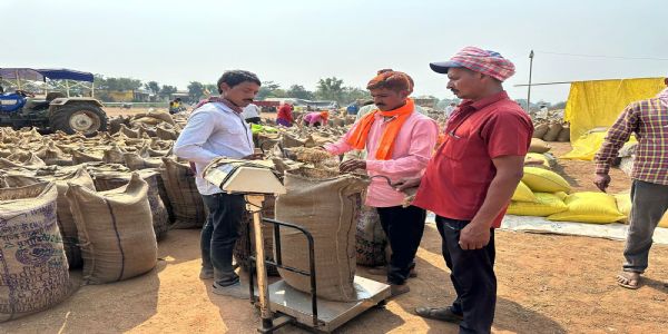 धमतरी : जिले में अब तक चार लाख क्विंटल से अधिक की धान खरीद