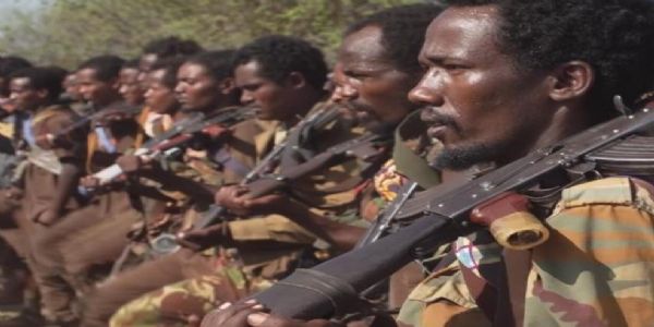 इथियोपिया के मेटेकेल जोन में ओरोमो लिबरेशन आर्मी के हमले में 40 से ज्यादा लोग मारे गए