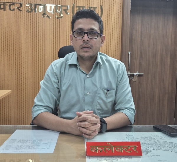 कलेक्टर हर्षल पंचोली कलेक्टर हर्षल पंचोली