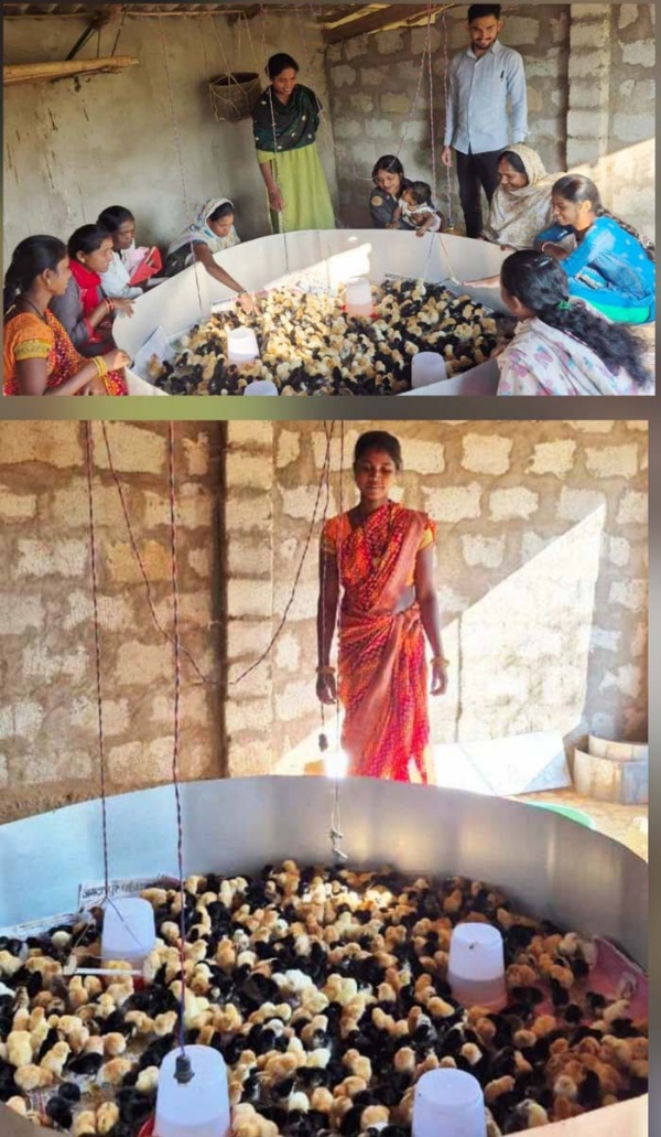 ब्रुडिंग सेंटर से बस्तर जिले के 30 गांवों के 300 परिवार हो रहे लाभान्वित ब्रुडिंग सेंटर से बस्तर जिले के 30 गांवों के 300 परिवार हो रहे लाभान्वित