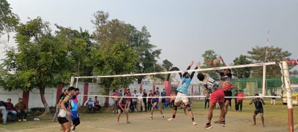 वॉलीबॉल