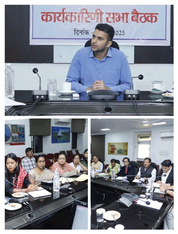 कलेक्टर ने ली रेडक्रास सोसाइटी की बैठक