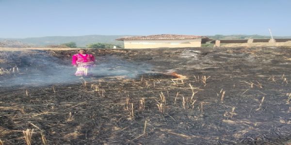 बिजली तार के संपर्क में आने से धान का फसल जलकर खाक