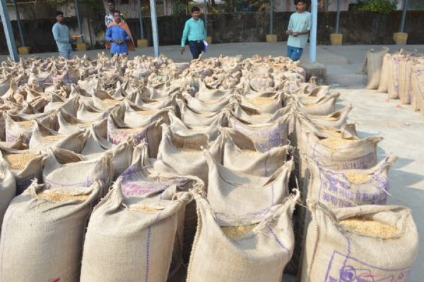 कोरबा : छुरी सहकारी समिति में किसान कृष्ण सिंह ने किया सुचारु धान विक्रय