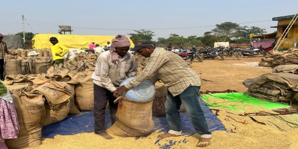 धमतरी :कई केंद्रों में धान का उठाव शुरू नहीं, 16 केंद्रों में लिमिट से अधिक धान