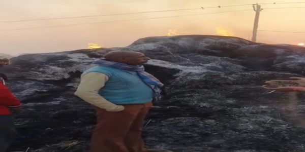 शॉर्ट सर्किट से धान की फसल जलकर राख