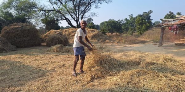 कोरबा : कड़ी मेहनत और सुविधाओं के साथ 90 वर्षीय किसान राम सिंह आज भी कर रहे खेती-किसानी