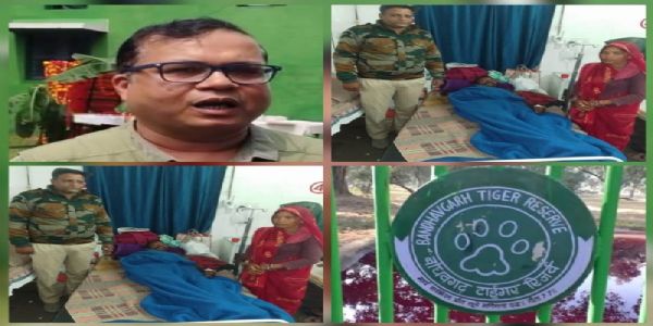 उमरिया : बांधवगढ़ टाइगर रिजर्व क्षेत्र में जंगली हाथी के हमले से ग्रामीण घायल