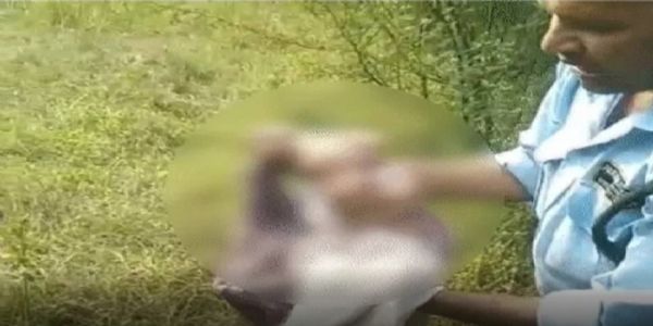 कवास क्रिकेट ग्राउंड पर मिली नवजात बच्ची, माता-पिता का पता देने वाले को 11,000 इनाम