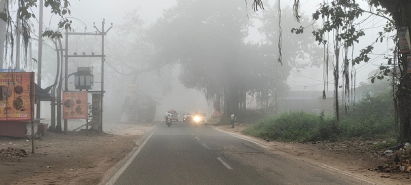 कोहरे की वजह से पसरा सन्नाटा