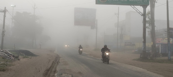 सड़क पर कोहरे की चादर