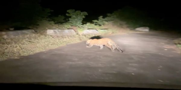 Uttarkashi ke tenuwa Uttarkashi ke tenuwa