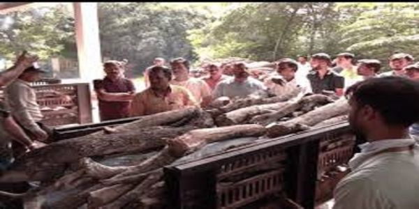 थाइलैंड में डूबे अंकित का भोपाल में हुआ अंतिम संस्कार, परिजनों ने की न्याय मांग