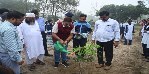 आईआरएस अधिकारी डॉ दिनेश कुमार जांगिड ने किया 11 पौधारोपण