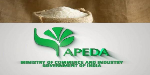 फोर्टिफाइड चावल के लोगो का प्रतीकात्मक चित्र फोर्टिफाइड चावल के लोगो का प्रतीकात्मक चित्र