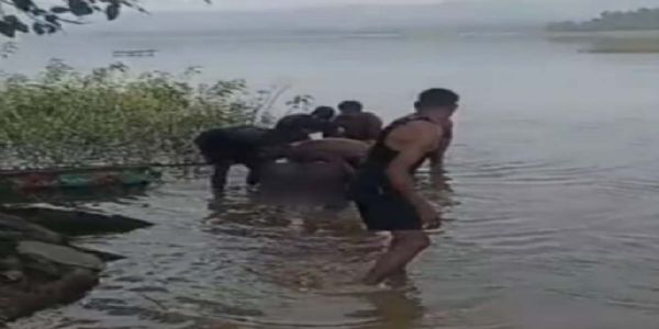 बिंजली डैम घूमने गये युवक की डूबने से हुई मौत