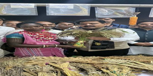 रायपुर : उपमुख्यमंत्री शर्मा ने भारत की मिलेट्स क्वीन लहरी बाई बैगा को किया सम्मानित