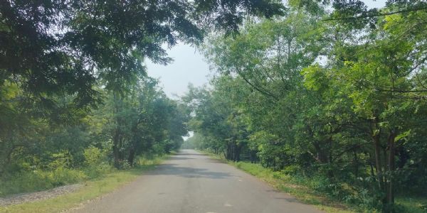 धमतरी : तेज़ी से हो रहा गाड़ाडीह-परखंदा-गुदगुदा-नारी मार्ग का चौड़ीकरण