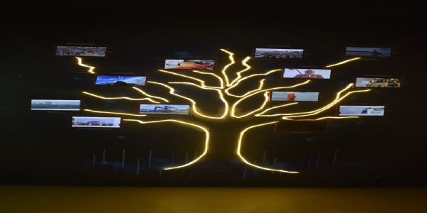 एकता नगर में भारत पर्व-2025 के थीम पैवेलियन का मुख्य आकर्षण ‘ग्रीन ट्री’ विकास