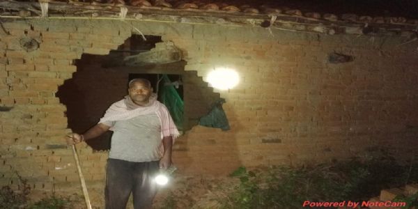 अनूपपुर: छत्तीसगढ़ से आए हाथी ने फसलों को पहुंचाया नुकसान, ग्रामीणों को सतर्क रहने की अपील