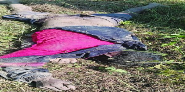 कोरबा में युवक की हाथी के कुचलने से मौत, परिजनों को 25 हजार की तत्काल सहायता