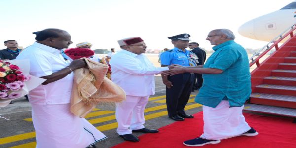 Vice President Vice President