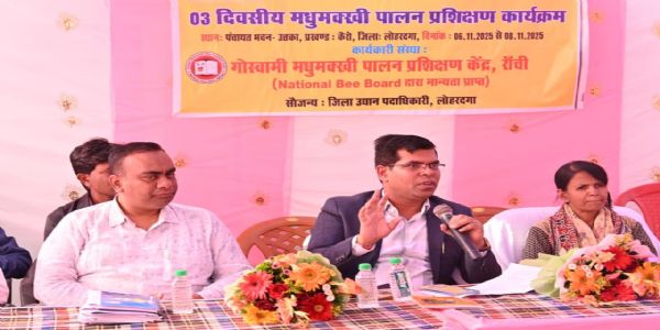 सामूहिक रूप से उत्पादन करने पर मधुमक्खी पालन में अग्रणी बन सकता जिला: उपायुक्त