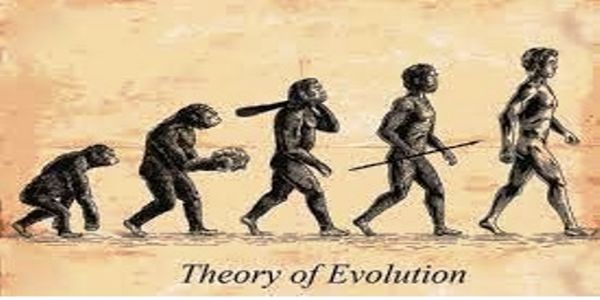 चार्ल्स डार्विन का विकासवाद का सिद्धांत की फोटो