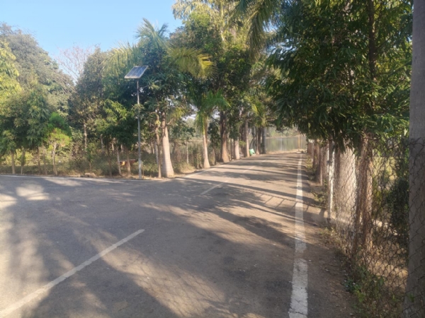 रामानुजगंज वन वाटिका रामानुजगंज वन वाटिका